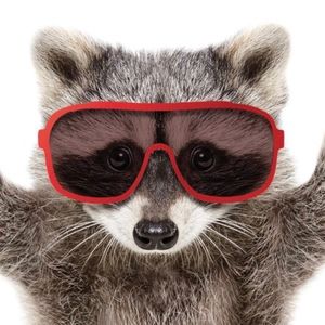 Meet your Posher, Teddy